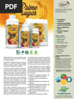 PrimeSugar FR 3 2024