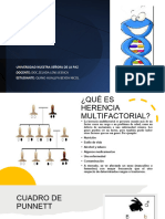 Genetica Presentacion