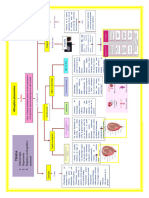 Mapa Conceptual de DPMNI