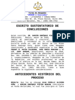 Escrito Ampliatorio de Conclusiones Peter