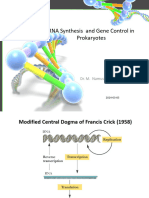 RNA Synthesis and Gene Control in Proks