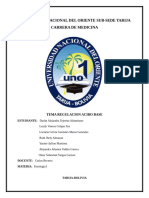 Monografía Tema Regulacion - Acido - Base