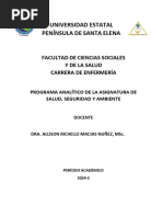 PA-Silabo-SALUD SEGURIDAD Y AMBIENTE-Dra - Allison-Signed-Signed