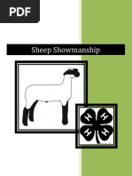 Sheep Showmanship