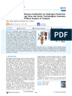 Alptekin Celiktas 2022 Review On Catalytic Biomass Gasification For Hydrogen Production As A Sustainable Energy Form