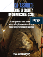 RSPCA 'Assured' - Covering Up Cruelty On An Industrial Scale SINGLE PAGES