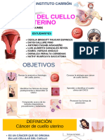 Exposición Cáncer de Cuello Uterino - 20240828 - 182249 - 0000