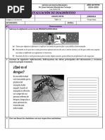 7MO DIAGNOSTICAS Lengua y Literatura