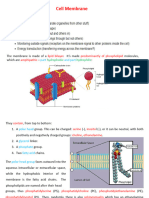 Cell Membrane