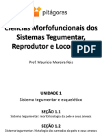 CMF TRL - Sistema Tegumentar