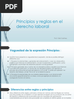 Principios y Reglas en El Derecho Laboral