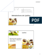 Metabolismo de Lipídios