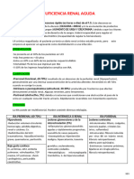 2-Insuficiencia Renal Aguda