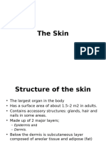 Integumentary System