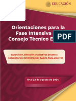 Orientaciones - Fase Intensiva - CTE - 2024-2025 - SEBA