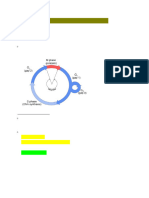 Cell Cycle