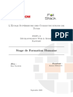 Rapport Stage D Été