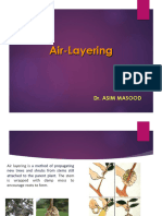 Air Layering