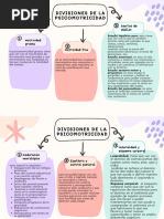 Organizador Grafico Divisiones de La Psicomotricidad