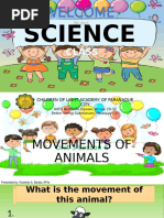 Unit 3 Lesson 7 Movements of Animals