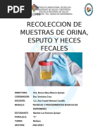 Informe Recoleccion y Muestra de Orina