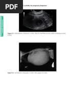 Clinical Canine and Feline Reproduction, Evidence-Based Answers (Vetbooks - Ir) - Pages-43-51