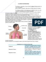 Tema - El Aparato Respiratorio