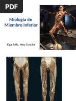 Miología MMII 2024