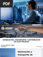 Generación, Transporte y Distribución de Electricidad