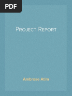 Project Report