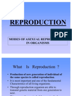 AsexuAL Reproduction