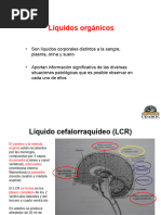 Liquidos Biologicos