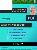 FUNCTIONAL ANATOMY OF URINARY TRACT & FUNCTION OF Kidney (BHAVESH GIRASE)