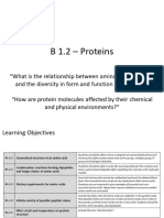 B1.2 Proteins 