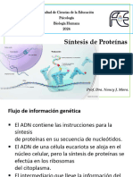 TP3.6 Síntesis de Proteínas