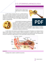 Resumo Semestre - Eduarda Felsky