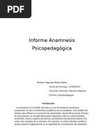 Informe Anamnesis Psicopedagogica Realizada