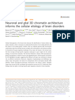 Neuronal and Glial 3D Chromatin Architecture Informs The Cellular Etiology of Brain Disorders