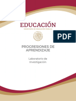 Laboratorio de Investigación - Progresiones de Aprendizaje