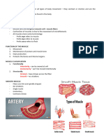 AnaPhy 9 Muscular System