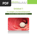 Unidad 1. La Sangre y La Hematopoyesis