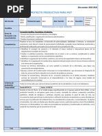 FPRMATO DE PLANIFICIACION Proyecto Productivo - MT