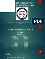 Group Seven's Presentation On Dorsal Scapular Nerve. Power Point