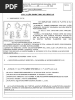 Avaliação Bimestral 2 Ano Plantas