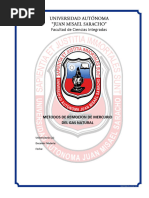 Metodos de Remocion de Mercurio Del Gas Natural