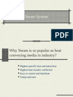 Steam System