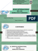 Trabajo Final Derecho Internacional