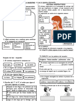 Ficha CIENCIA Sistema Respiratorio