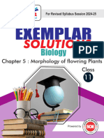 Class XI Biology Notes Chapter 5 Morphology of Flowering Plants