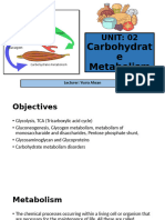 Carbohydrate Metabolism